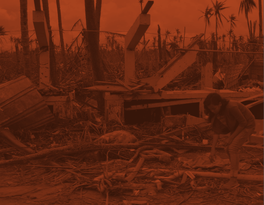 Assessing non-market loss and damage in the context of climate change